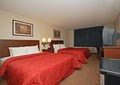 Comfort Inn North image 2