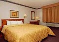 Comfort Inn North image 6