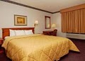 Comfort Inn North image 9