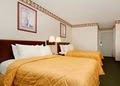 Comfort Inn Reading Hotel image 2