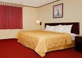 Comfort Inn Reading Hotel image 3