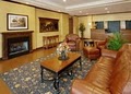 Comfort Inn & Suites Near Lake Lanier image 2