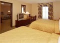 Comfort Inn & Suites Near Lake Lanier image 7