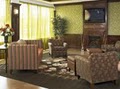 Comfort Inn & Suites Near Union Station image 7