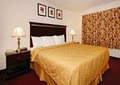 Comfort Inn & Suites image 8