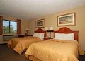 Comfort Inn University image 2
