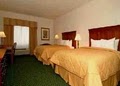 Comfort Inn and Suites image 6