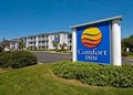 Comfort Inn image 2