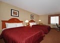 Comfort Inn image 2