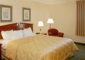 Comfort Inn image 3