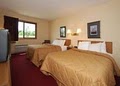 Comfort Inn image 3