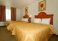 Comfort Inn image 5