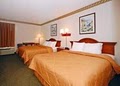 Comfort Inn image 5