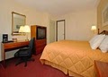 Comfort Inn image 5