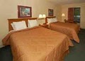 Comfort Inn image 5