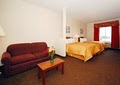 Comfort Inn image 6