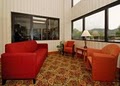 Comfort Inn image 6