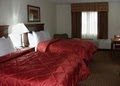 Comfort Inn image 7