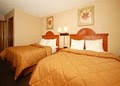 Comfort Inn image 7