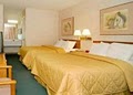 Comfort Inn image 8