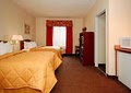 Comfort Inn image 8