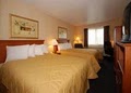 Comfort Inn image 10