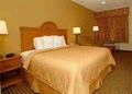 Comfort Inn image 10