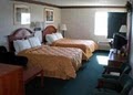 Comfort Inn image 10