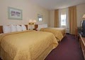 Comfort Inn image 10