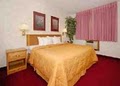 Comfort Inn image 10