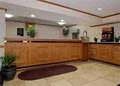 Comfort Inn image 10