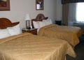 Comfort Inn image 10