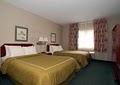 Comfort Suites image 3