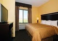 Comfort Suites image 7