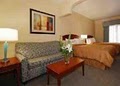 Comfort Suites image 10