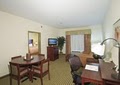 Comfort Suites image 10