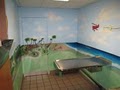 Coral Breeze Animal Hospital image 3