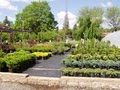 Cottage Gardens, Inc. image 2