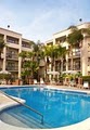 Courtyard Tampa Westshore/Airport image 5