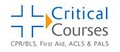 Critical Courses, Inc. image 2