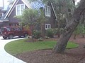 Cruz Lawn and Tree image 3