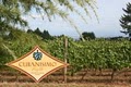 Cubanisimo Vineyards image 6