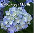 Cybermogul Dolls image 5