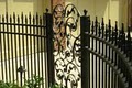 Dakota Fab & Welding: Raleigh NC Wrought Iron Gates, Railings, Fences image 3