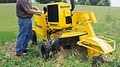 Danes Lawn, Bobcat, Tree, and Stump Service image 1