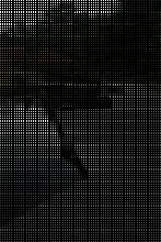 Decks and Specialties image 4