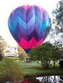 Delmarva Hot Air Balloon Rides Maryland image 1