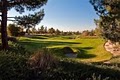 Desert Pines Golf Club - Las Vegas, NV image 4