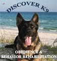 Discover K9 Dog Training logo