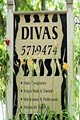 Divas image 10
